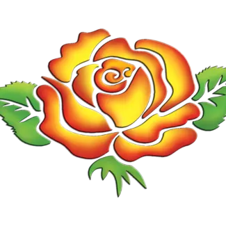 humaniversity rose